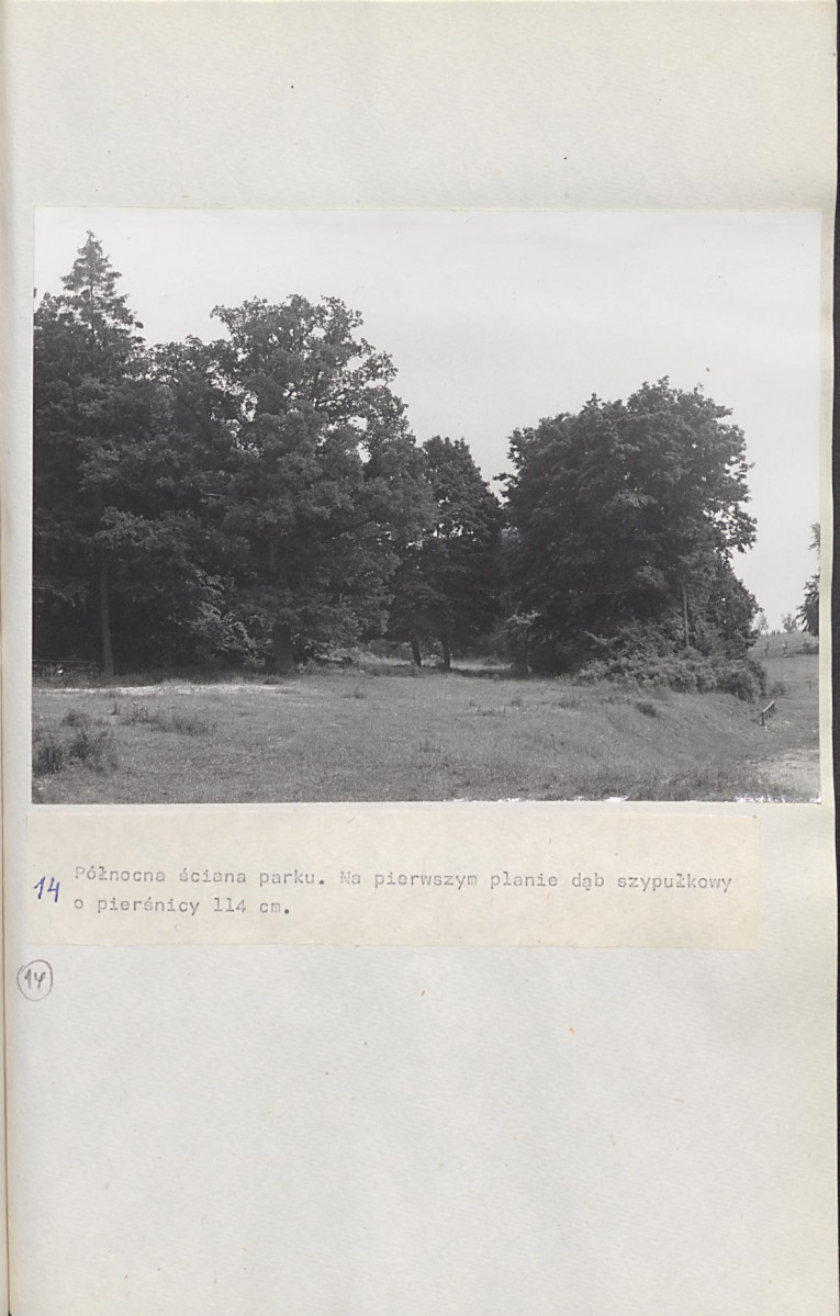 Ewidencja parkowa, skan nr 37