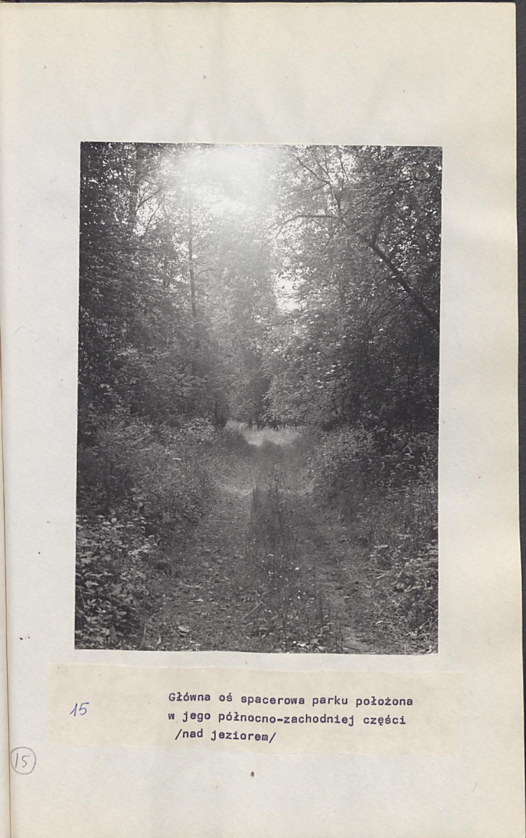 Ewidencja parkowa, skan nr 38