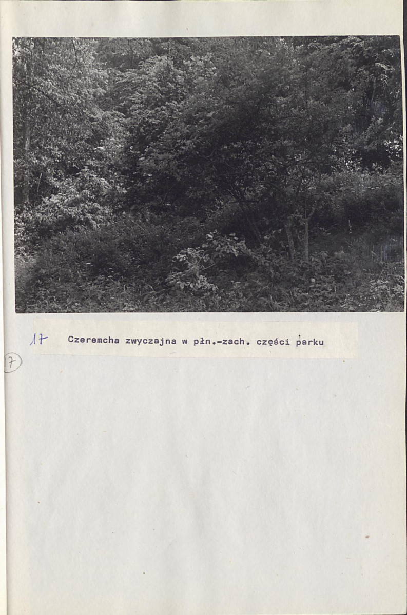 Ewidencja parkowa, skan nr 40