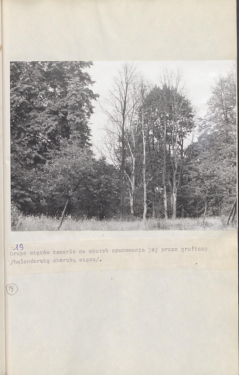 Ewidencja parkowa, skan nr 42