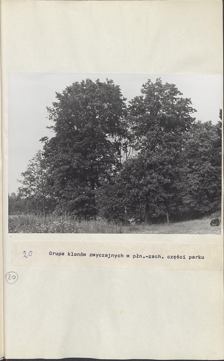 Ewidencja parkowa, skan nr 43