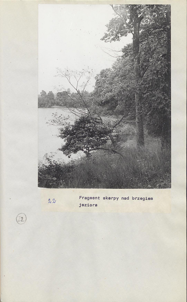 Ewidencja parkowa, skan nr 45