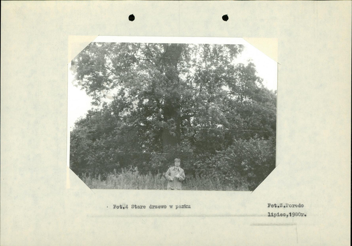 Ewidencja parkowa, skan nr 19