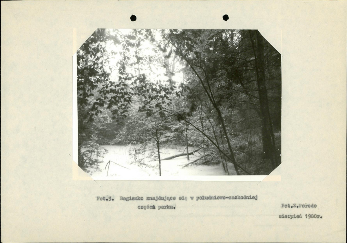 Ewidencja parkowa, skan nr 16