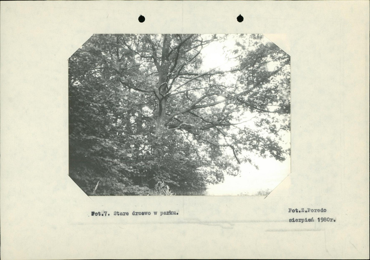 Ewidencja parkowa, skan nr 20