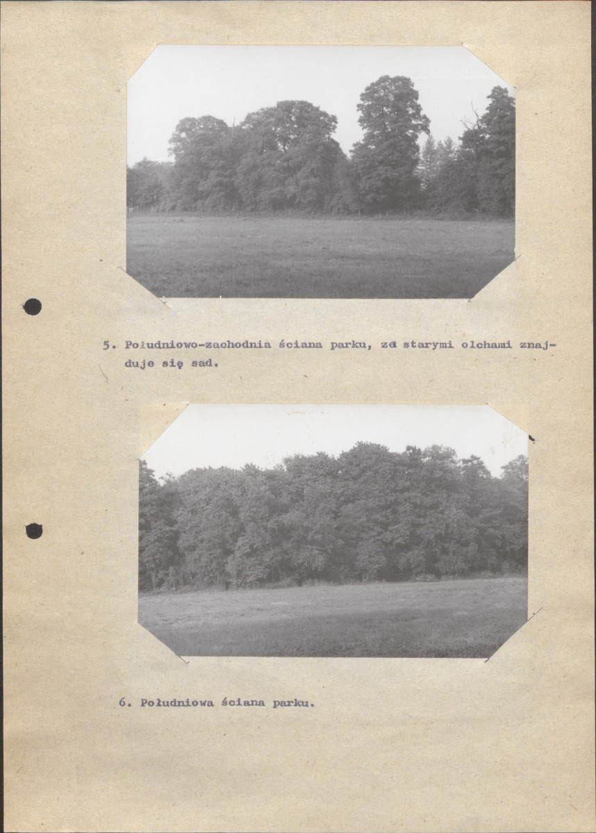 Ewidencja parkowa, skan nr 33