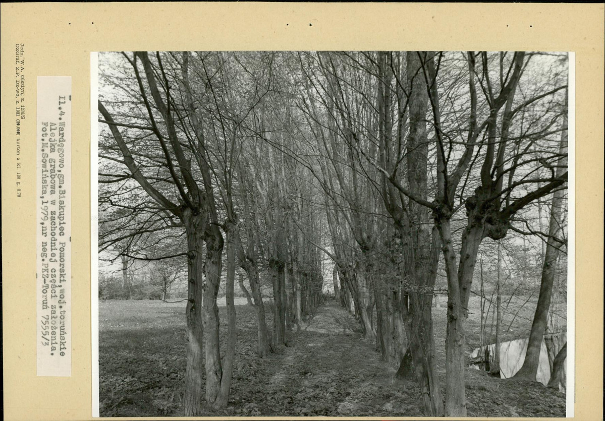 Ewidencja parkowa, skan nr 16