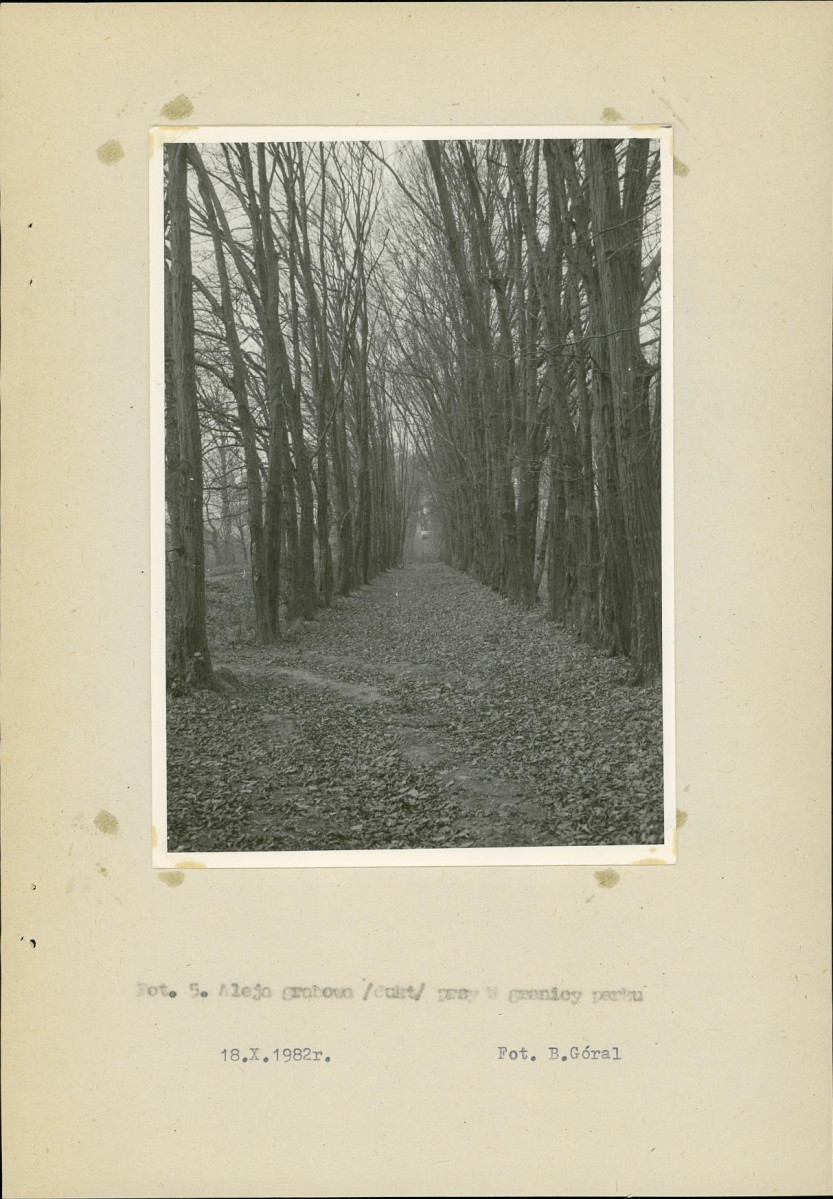 Ewidencja parkowa, skan nr 26