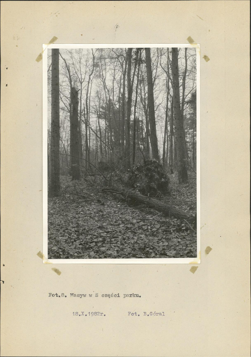 Ewidencja parkowa, skan nr 29
