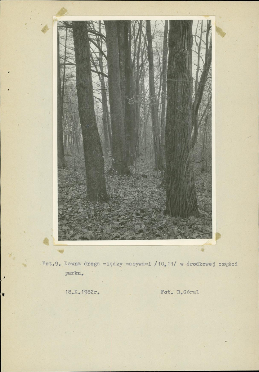 Ewidencja parkowa, skan nr 30