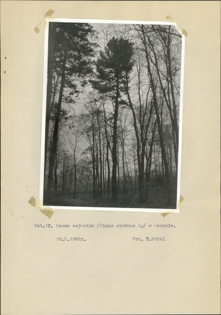 Ewidencja parkowa, skan nr 33