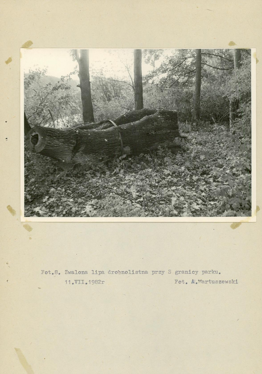 Ewidencja parkowa, skan nr 31