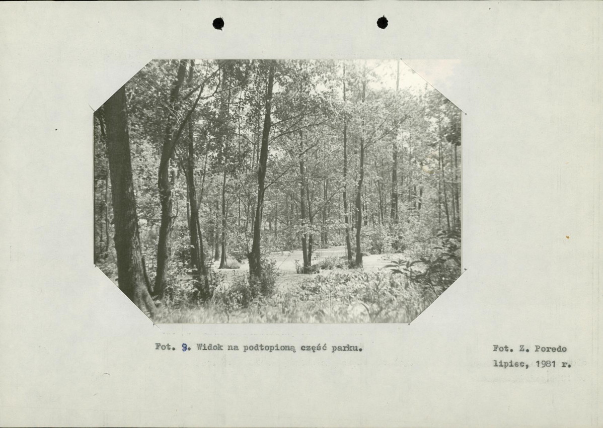 Ewidencja parkowa, skan nr 21