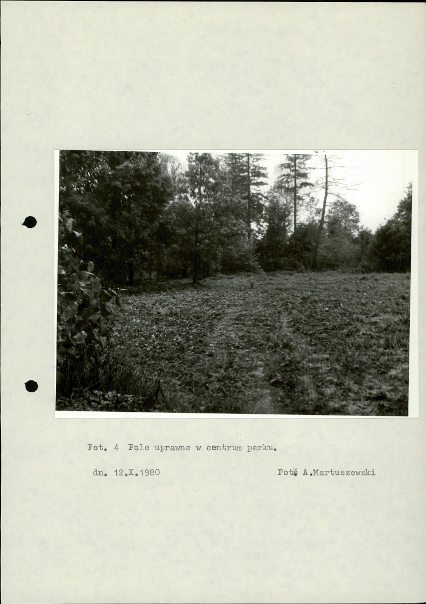 Ewidencja parkowa, skan nr 23