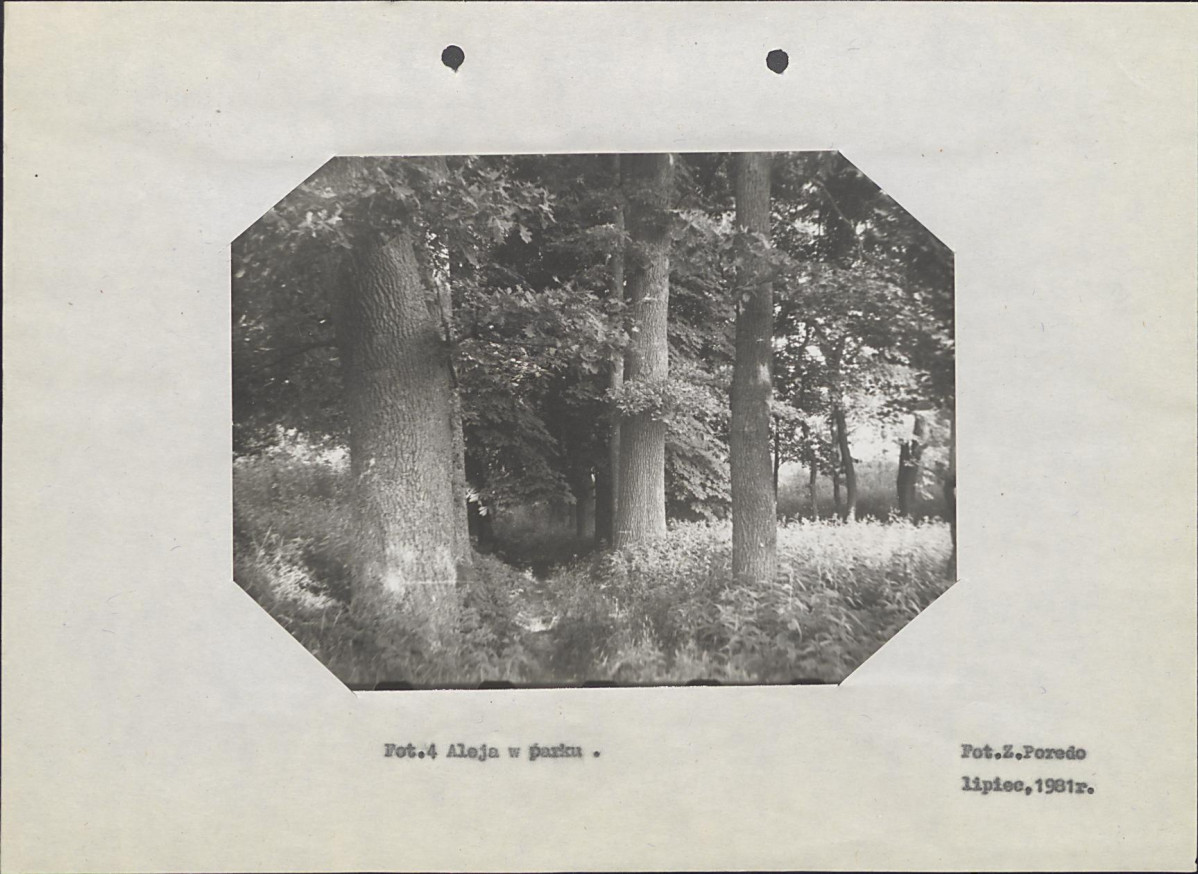 EP - Ewidencja parkowa, skan nr 17