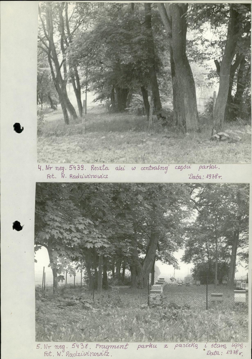 Ewidencja parkowa, skan nr 15