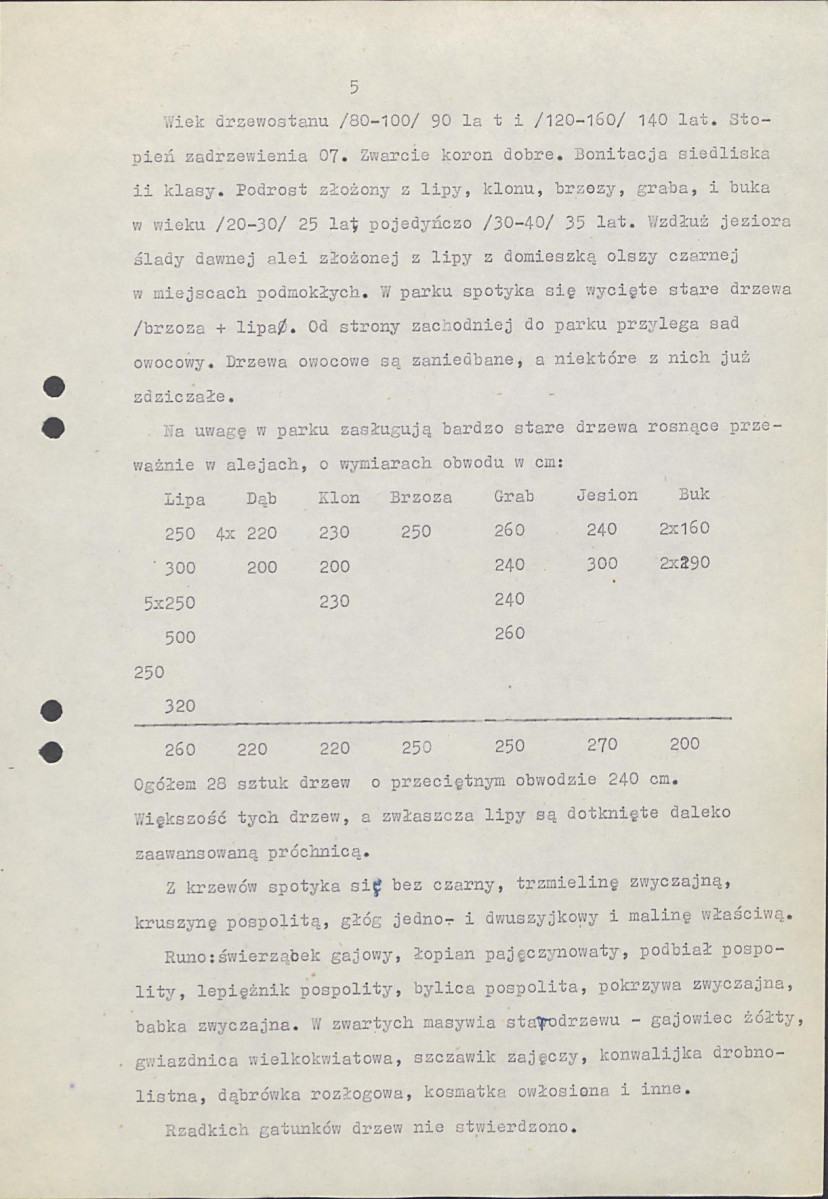 Ewidencja parkowa, skan nr 11