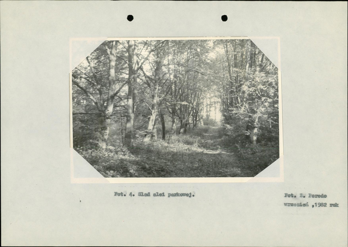 Ewidencja parkowa, skan nr 18