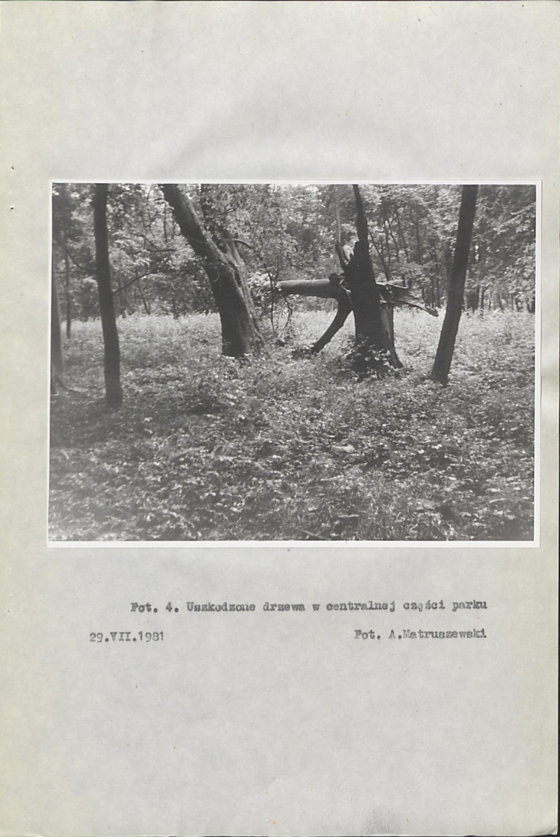Ewidencja parkowa, skan nr 22