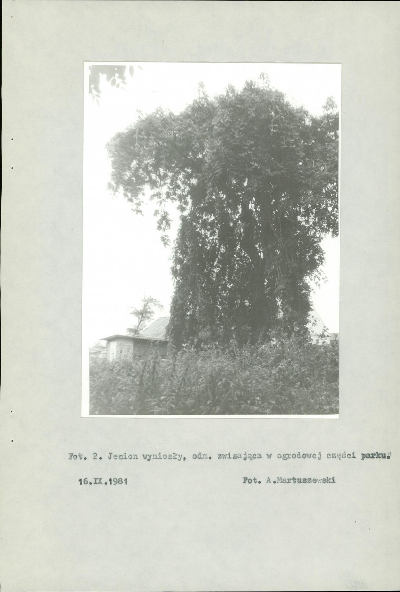 EP - Ewidencja parkowa, skan nr 18