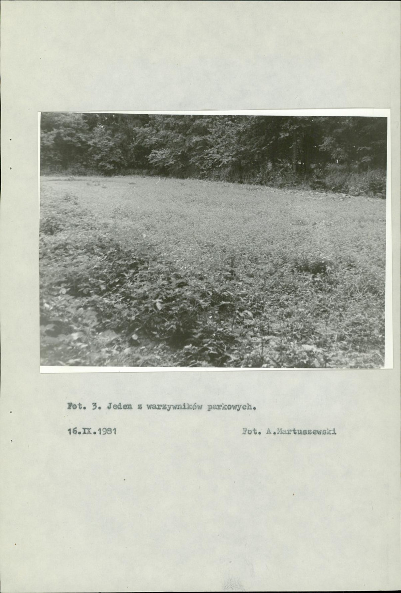 EP - Ewidencja parkowa, skan nr 19