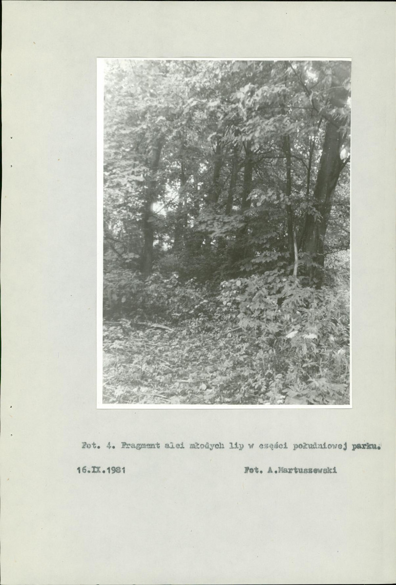 EP - Ewidencja parkowa, skan nr 20