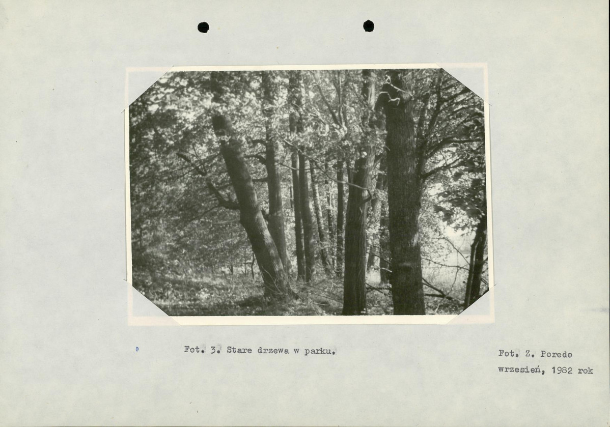 Ewidencja parkowa, skan nr 17