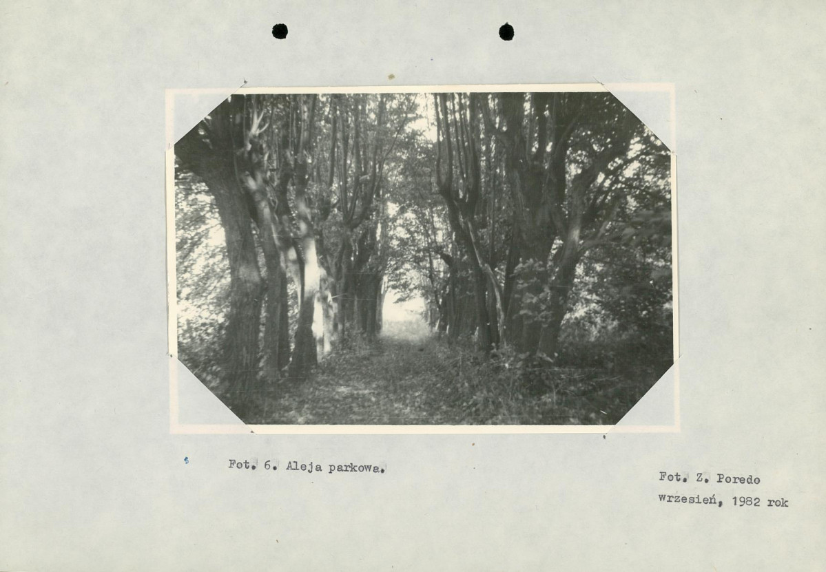 Ewidencja parkowa, skan nr 20