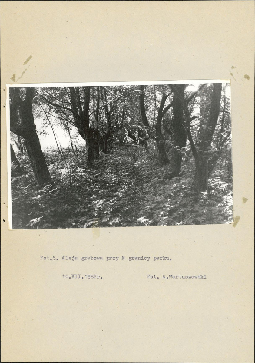 Ewidencja parkowa, skan nr 25