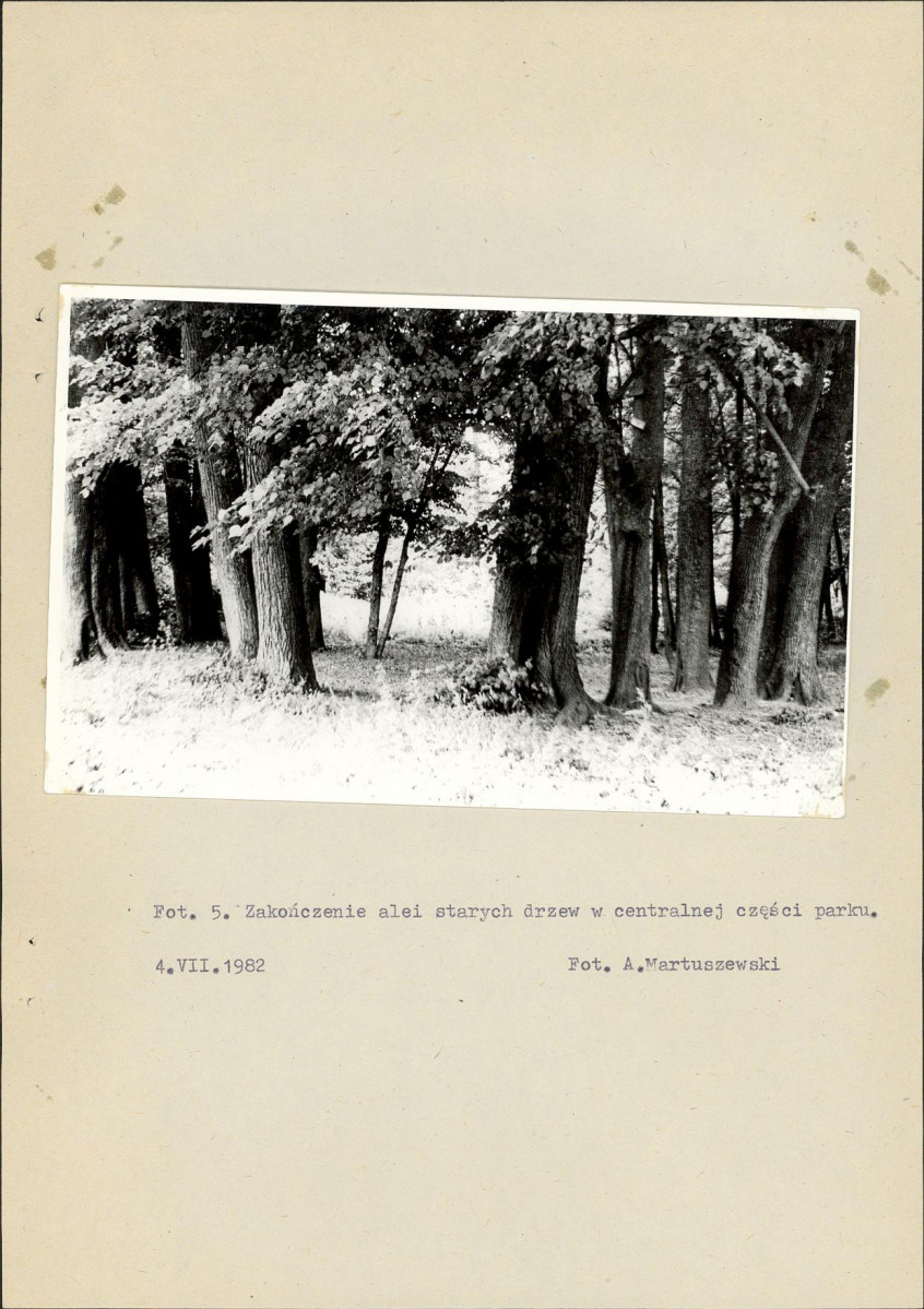 Ewidencja parkowa, skan nr 27