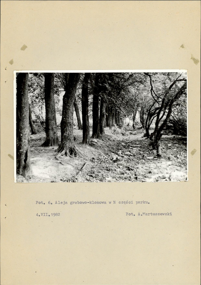 Ewidencja parkowa, skan nr 28