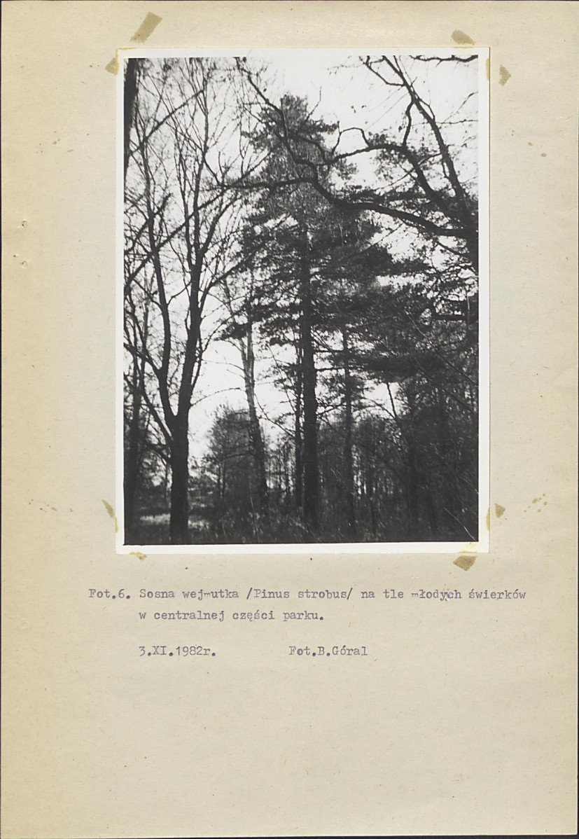Ewidencja parkowa, skan nr 26