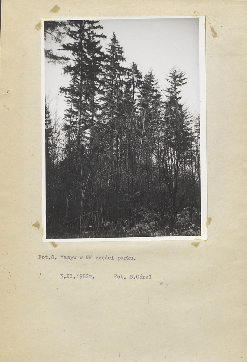 Ewidencja parkowa, skan nr 28