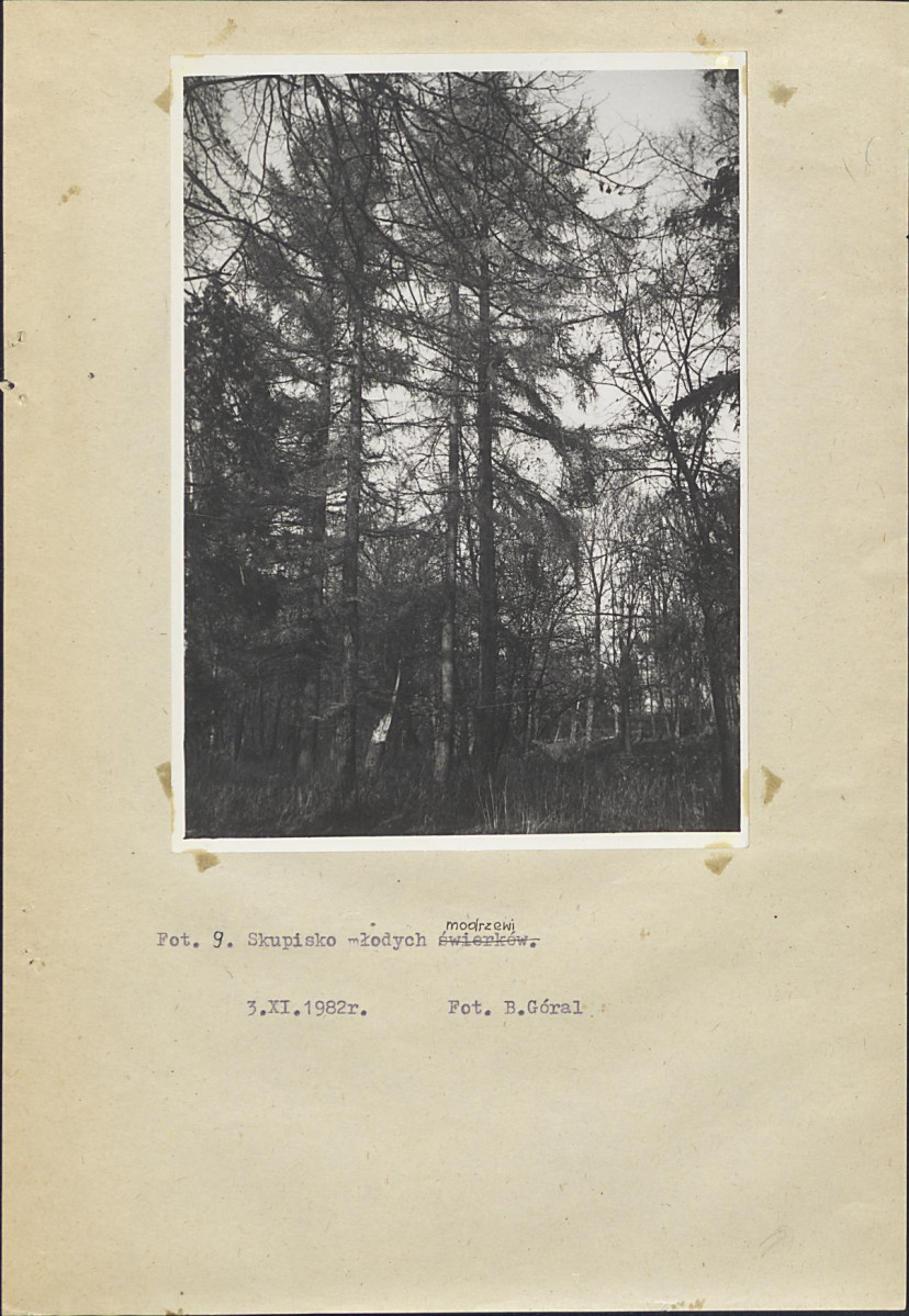 Ewidencja parkowa, skan nr 29