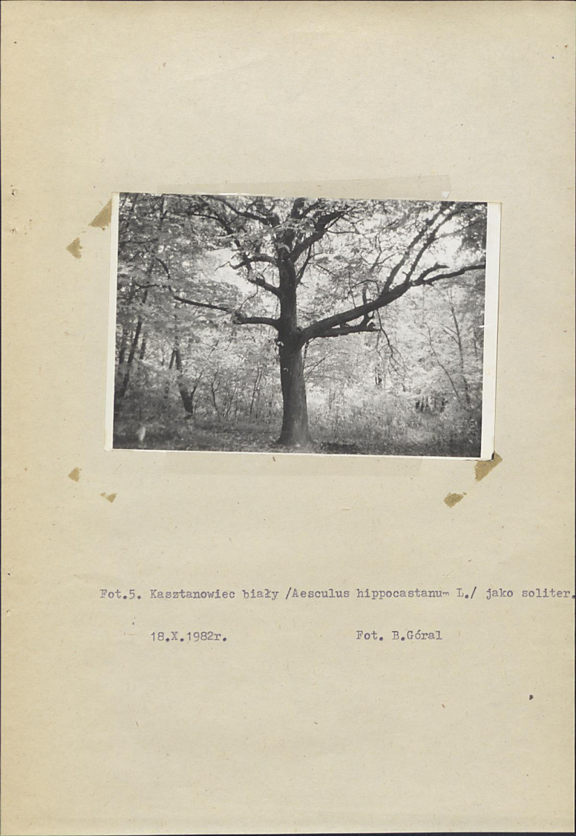 Ewidencja parkowa, skan nr 25