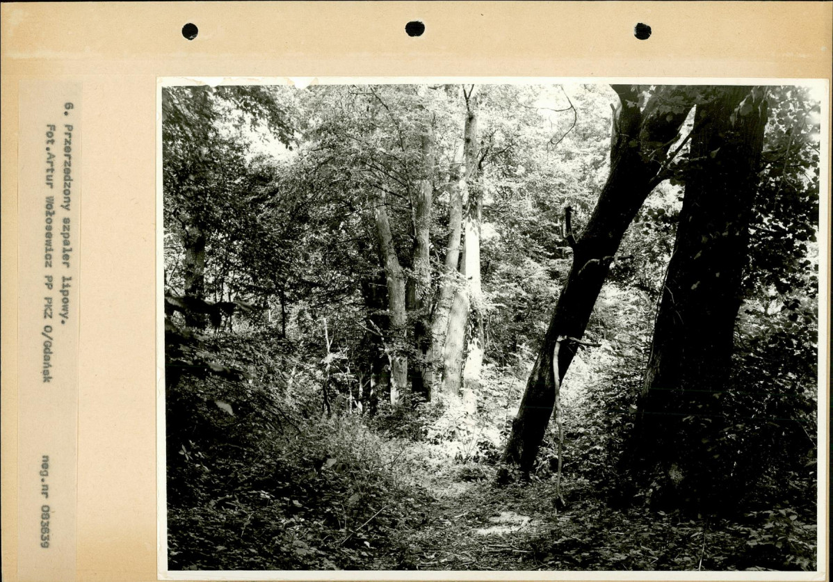 Ewidencja parkowa, skan nr 27