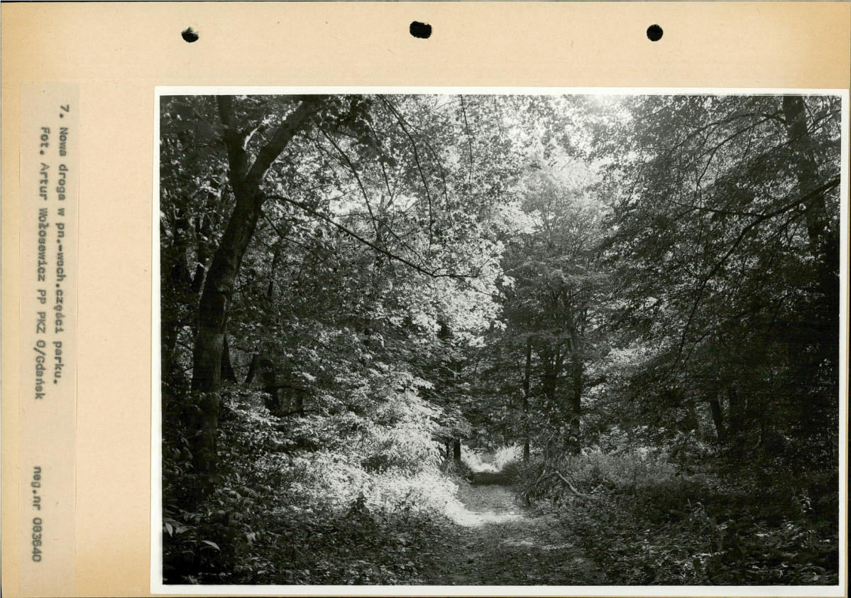 Ewidencja parkowa, skan nr 28