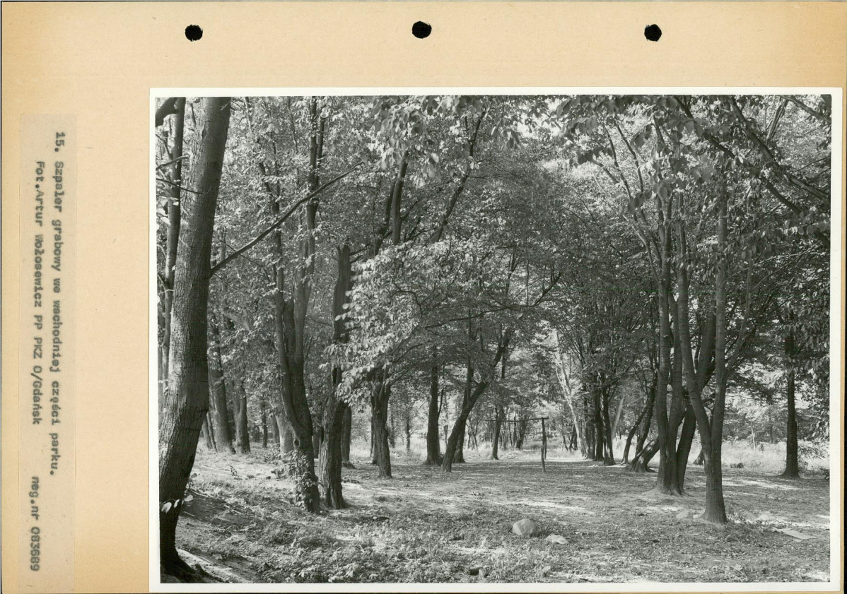 Ewidencja parkowa, skan nr 36