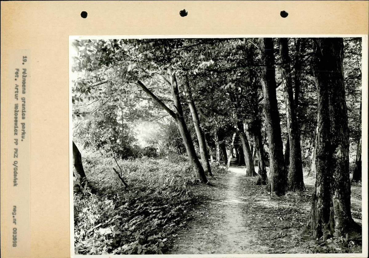 Ewidencja parkowa, skan nr 40
