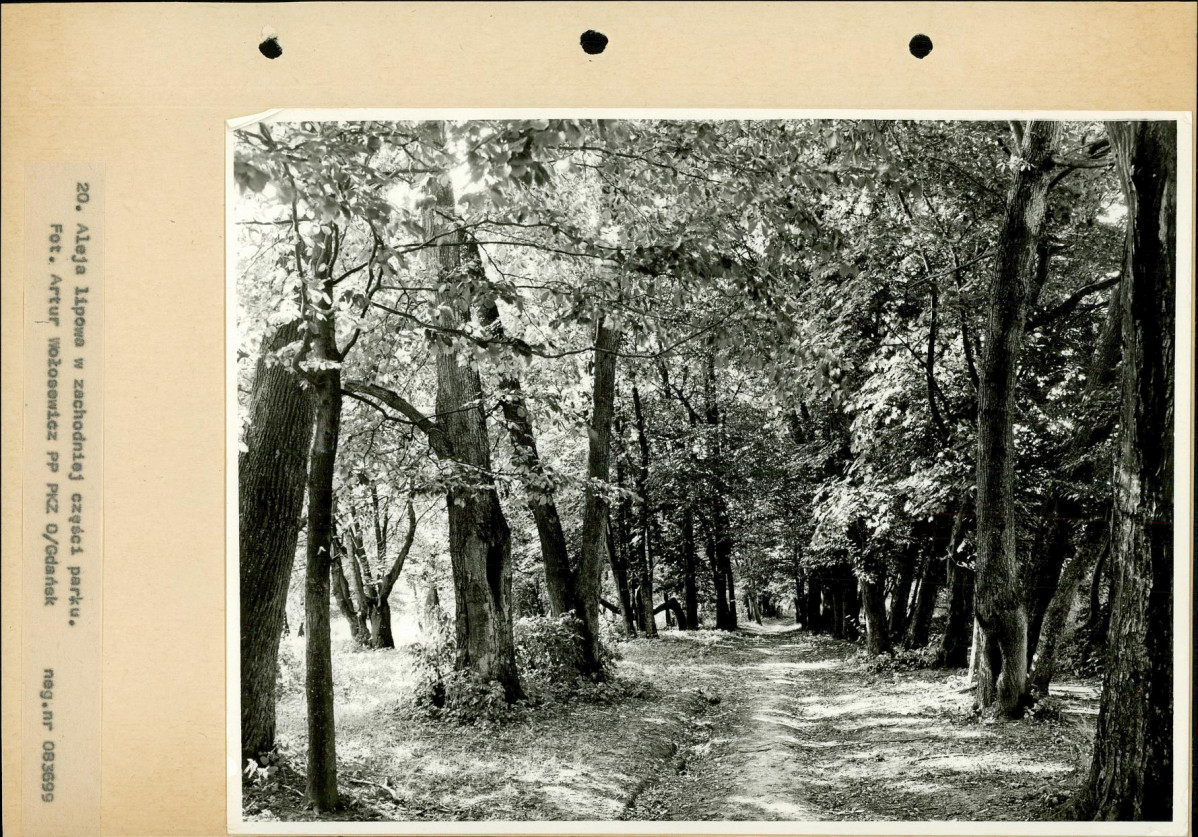 Ewidencja parkowa, skan nr 41
