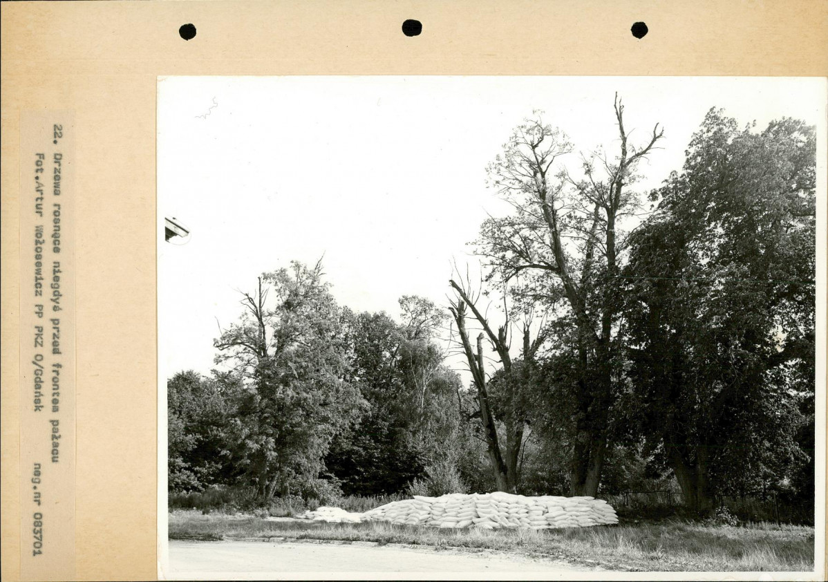Ewidencja parkowa, skan nr 43