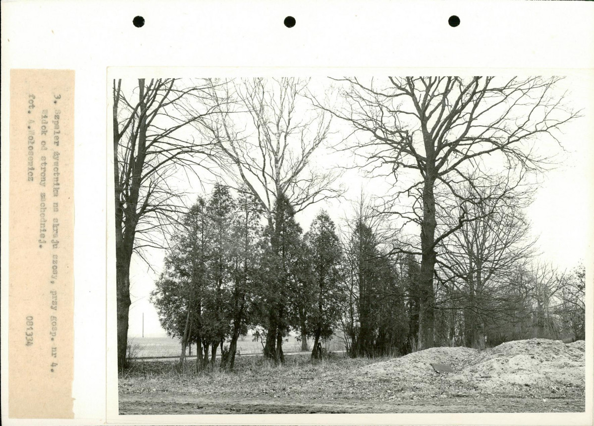Ewidencja parkowa, skan nr 15