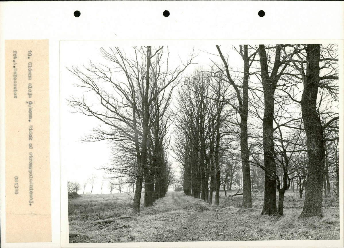 Ewidencja parkowa, skan nr 22