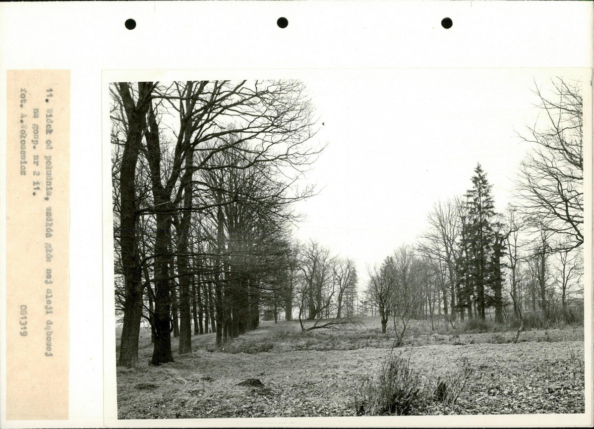 Ewidencja parkowa, skan nr 23