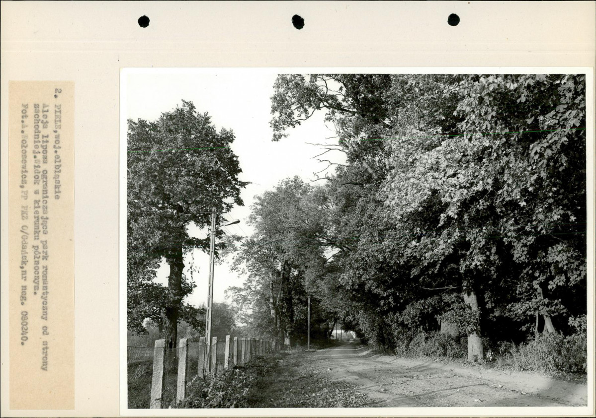Ewidencja parkowa, skan nr 19