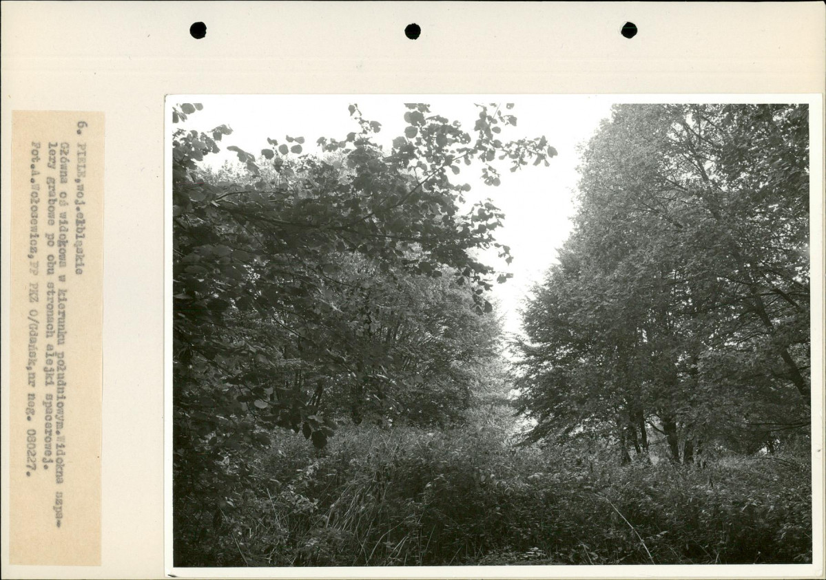 Ewidencja parkowa, skan nr 23
