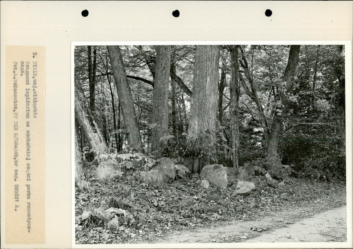Ewidencja parkowa, skan nr 26