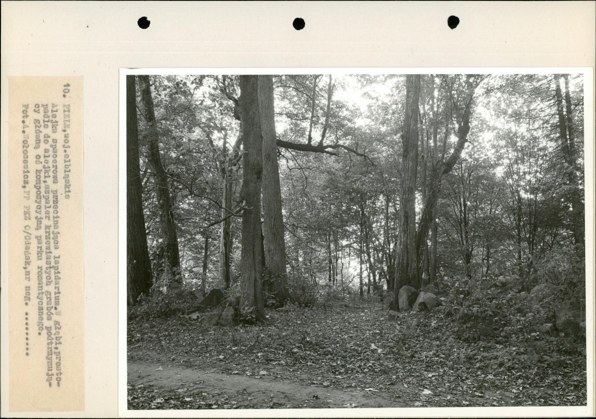 Ewidencja parkowa, skan nr 27