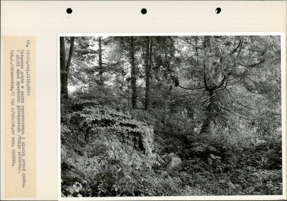 Ewidencja parkowa, skan nr 28