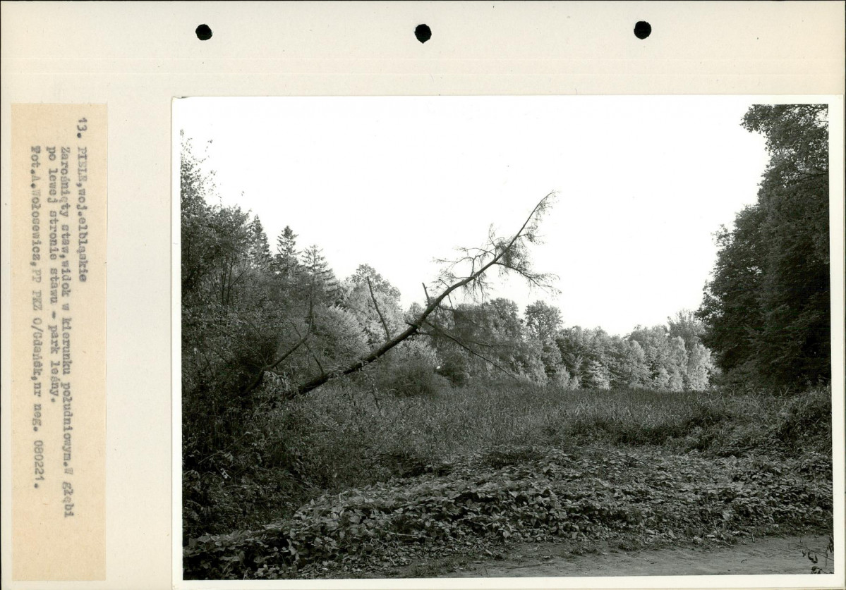 Ewidencja parkowa, skan nr 30
